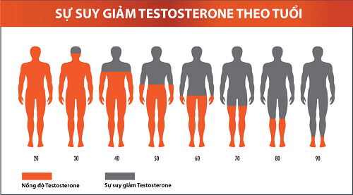  suy giảm nội tiết tố nam Testosterone